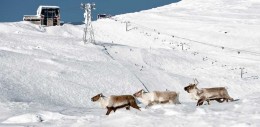 Välkommen till Åre – en av Skandinaviens bästa skidorter!
